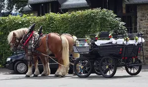 Carriage rides
